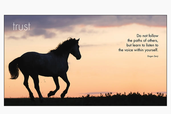 Little Book of Heavenly Horses