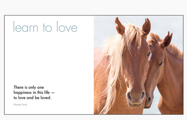Little Book of Heavenly Horses