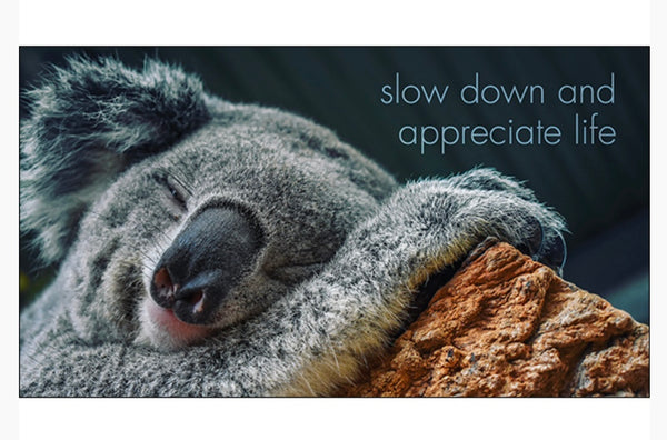 A little book of koala Karma