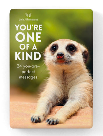 You’re one of a kind- 24 Animal Affirmation Cards + Stand¿