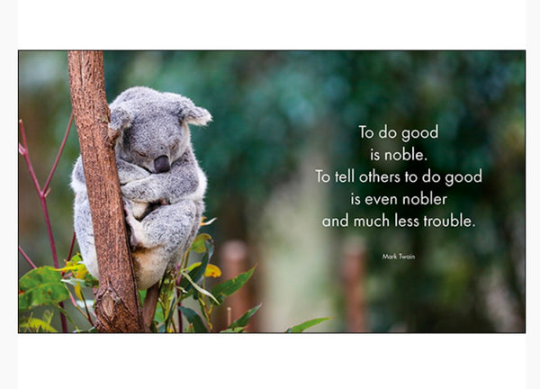 A little book of koala Karma