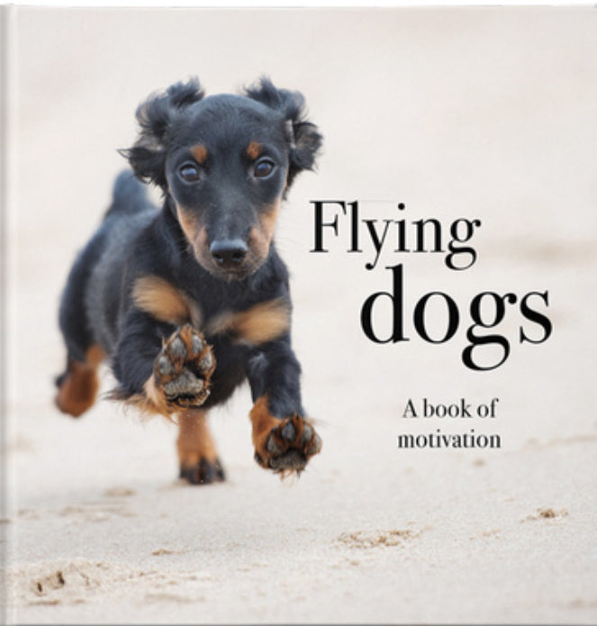 Flying Dogs