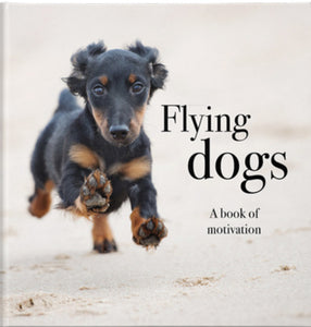Flying Dogs