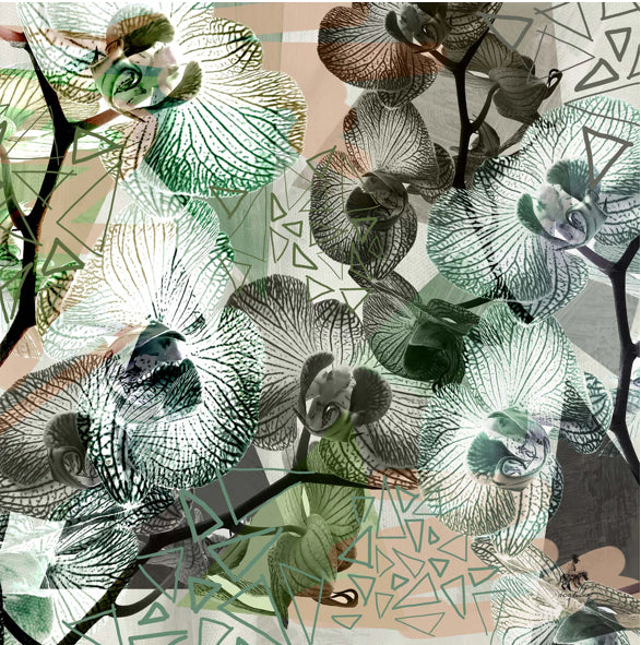 Redivivus Silk- Cotton Scarf