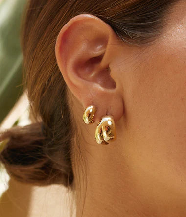 Pegasi Earings