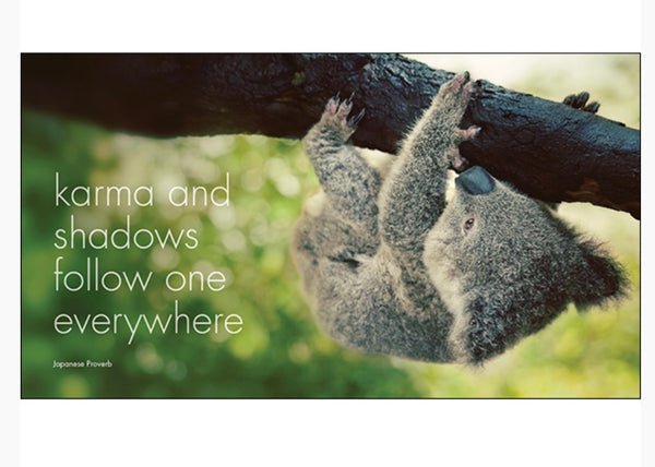 A little book of koala Karma