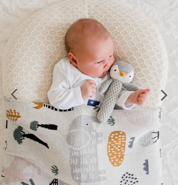 Asher Animal Blanket