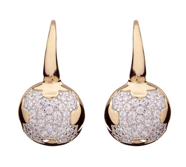 Caitlin hook earrings