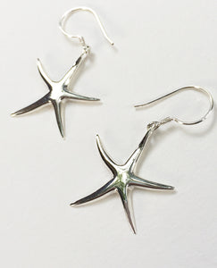 Starfish Earrings