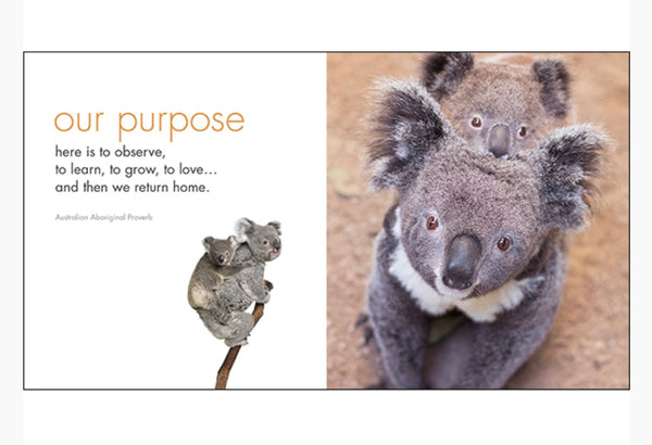A little book of koala Karma