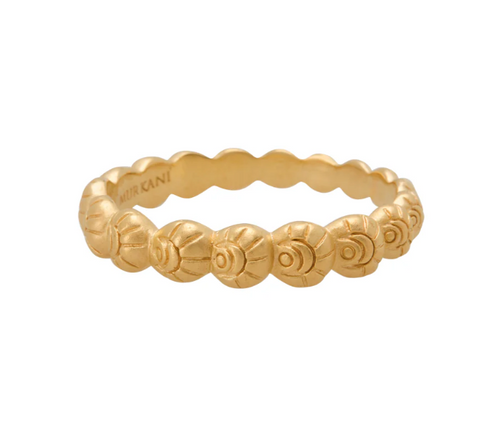 Soul Protector Ring