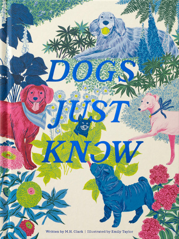 Dogs just know