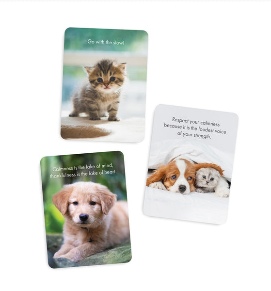 Little Paws - 24 Animal affirmation cards + stand