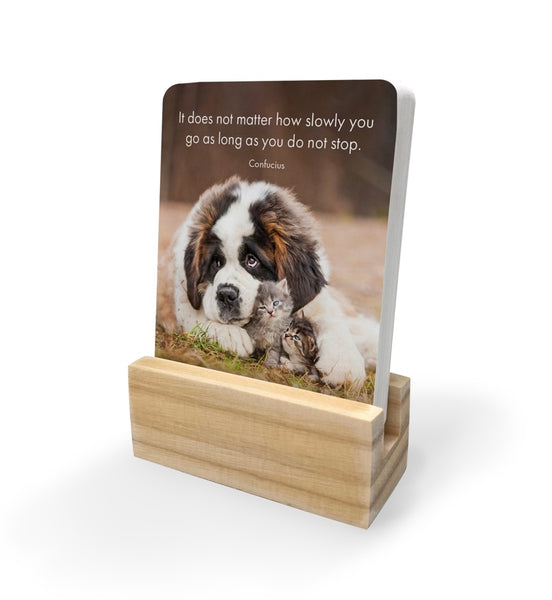 Little Paws - 24 Animal affirmation cards + stand
