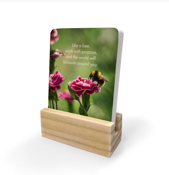 Bee You - 24 Animal affirmation cards + stand