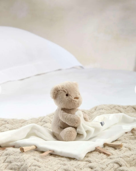 Welcome to the World Baby Comforter - Bear