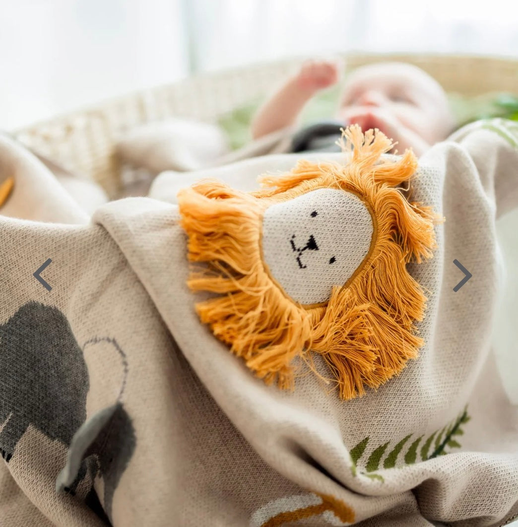 Safari Dreams Baby Blanket