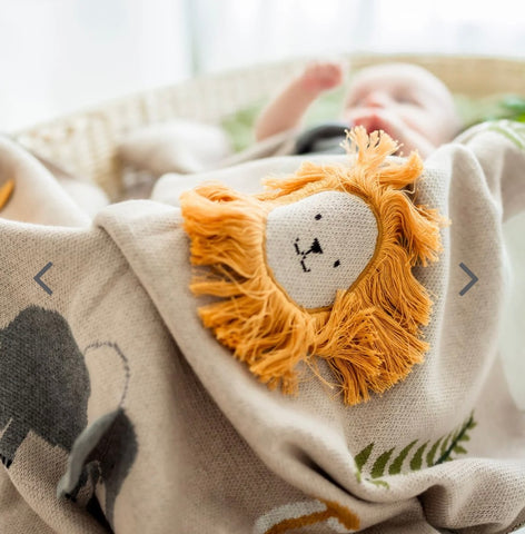 Safari Dreams Baby Blanket