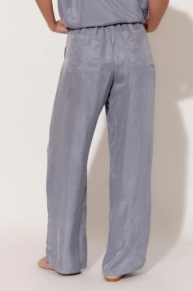 Stevie Cupro Pants in Grey