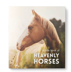 Little Book of Heavenly Horses
