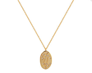 Leo Necklace
