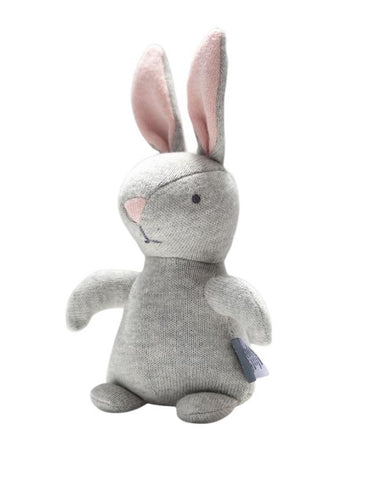 Barnie Bunny Toy
