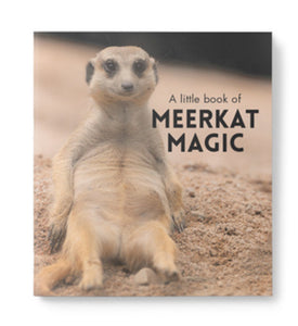 Little book of Meerkat Magic